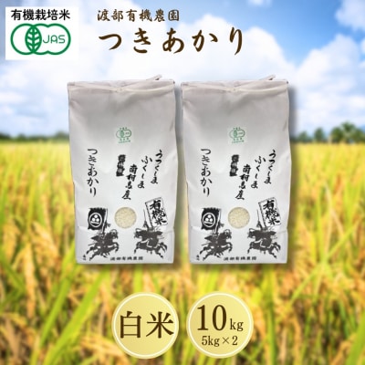 JAS有機米 つきあかり 白米 10kg (5kg ×2袋) 令和7年産 新米 | 渡部有機農園