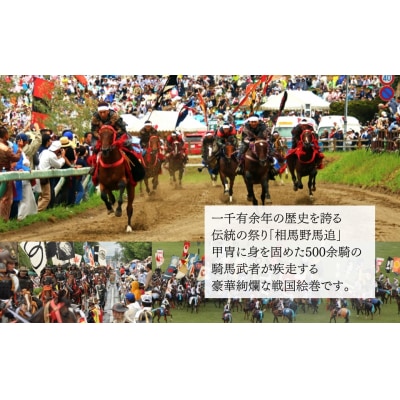 JAS有機米 つきあかり 白米 10kg (5kg ×2袋) 令和7年産 新米 | 渡部有機農園