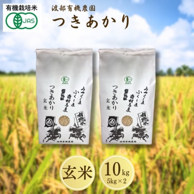 JAS有機米 つきあかり 玄米 10kg (5kg ×2袋)令和7年産 新米 | 有機 渡部有機農園