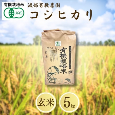 JAS有機米 コシヒカリ 玄米 5kg 令和7年産 | JAS 有機米 コメ 米 渡部有機農園