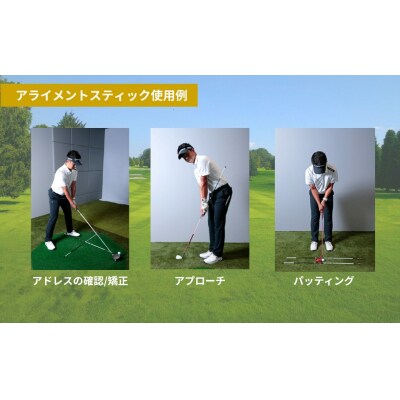 SPEEDER NX GOLD  アライメントスティック 2本 専用カバー付き ゴルフ