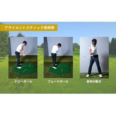 SPEEDER NX GOLD  アライメントスティック 2本 専用カバー付き ゴルフ