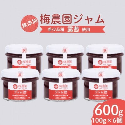 梅農園ジャム 600g (100g×6個) | 梅ジャム 梅 国産 無添加 完熟 露茜 相馬アグリ