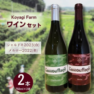 ワイン 2本セット メルロー 2022 (赤) + シャルドネ 2023 (白) | コヤギファーム
