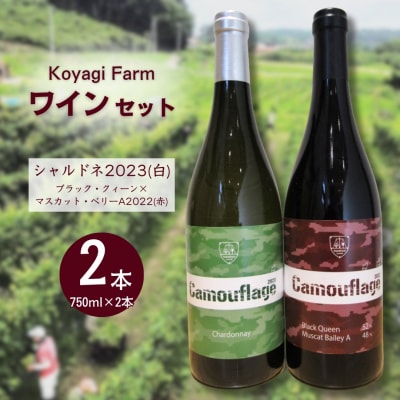 ワイン 2本セット ブラック・クィーン×マスカット・ベリーA シャルドネ  | コヤギファーム