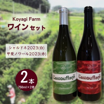 ワイン 2本セット 甲斐ノワール2023 (赤)  シャルドネ2023 (白) | コヤギファーム