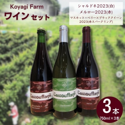 ワイン 3本セット シャルドネ メルロー マスカットベリー×ブラッククイーン | コヤギファーム