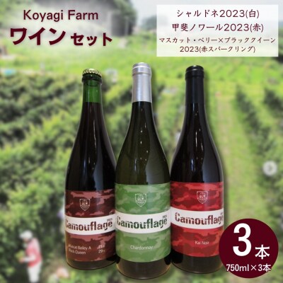 ワイン 3本セット シャルドネ 甲斐ノワール マスカットベリー×ブラッククイーン | コヤギファーム