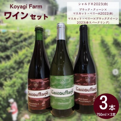 ワイン 3本セット シャルドネ ブラッククイーン×マスカットベリー ほか | コヤギファーム