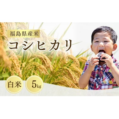 【先行予約】令和8年産 コシヒカリ 白米 5kg |こしひかり 米 こめ 大粒 サムランド
