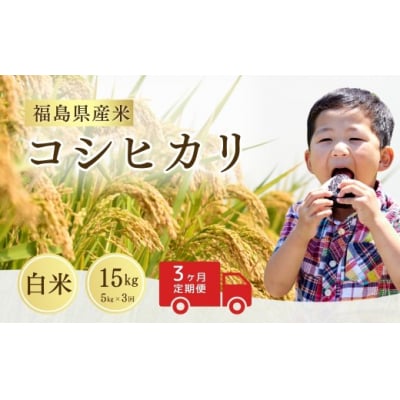 【先行予約】定期便 令和8年産 コシヒカリ 白米 15kg ( 5kg ×3回) |米 サムランド
