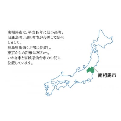 南相馬のお漬物詰合せ(きゅうり、からみ漬)|おつまみ 漬物 黒潮海苔店 aa009-ab