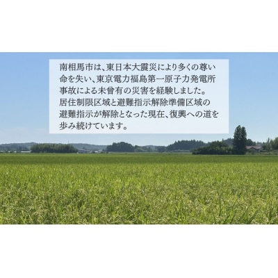 南相馬のお漬物詰合せ(きゅうり、からみ漬)|おつまみ 漬物 黒潮海苔店 aa009-ab