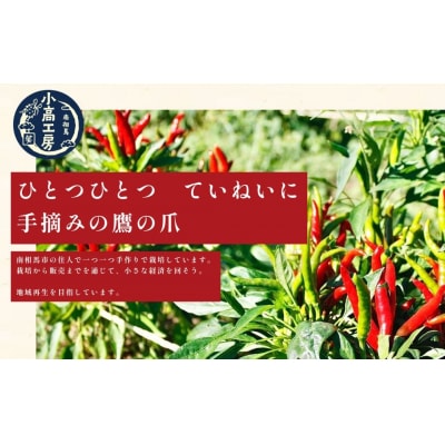小高ビーフカレー(激辛)4パック レトルトカレー 小高工房 aq002-ab