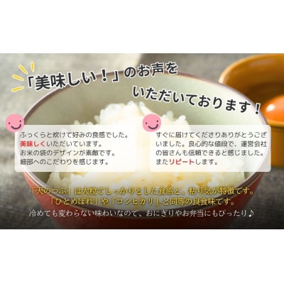 パックご飯 パックごはん 天のつぶ 120食 ( 150g×120個 ) | ad002-ad
