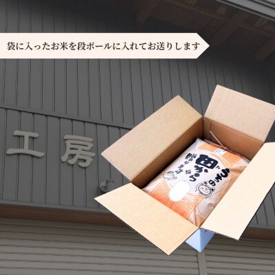 【コシヒカリ】 令和7年産 福島県産 白米 5kg × 1袋 | 星忠雄商店 cv001-aa