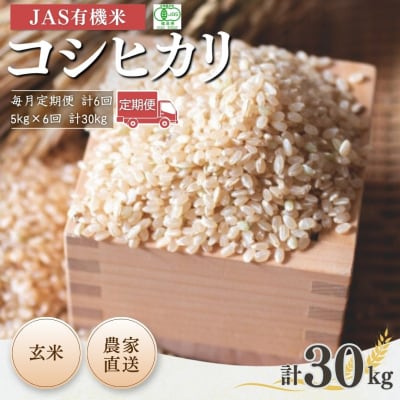 8年産先行予約 毎月定期便 コシヒカリ 玄米 5kg×6回 有機米 根本有機農園 bd004-am
