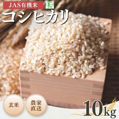 JAS有機米 コシヒカリ 玄米 10kg 令和7年産 根本有機農園 bd001-al
