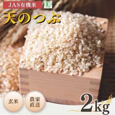 JAS有機米 天のつぶ 玄米 2kg 令和7年産 根本有機農園 bd002-aj