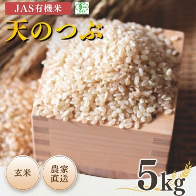 JAS有機米 天のつぶ 玄米 5kg 令和7年産 根本有機農園 bd002-ak