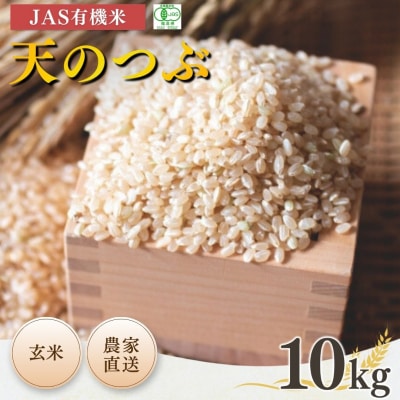 JAS有機米 天のつぶ 玄米 10kg 令和7年産 根本有機農園 bd002-al