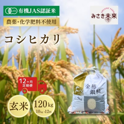 8年産予約 定期便 コシヒカリ 玄米 10kg×12回 有機JAS みさき未来 co021-ak