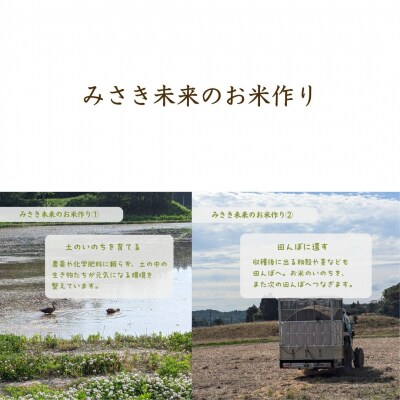 8年産予約 定期便 にじのきらめき 玄米 10kg×6回 有機JAS みさき未来 co023-ai