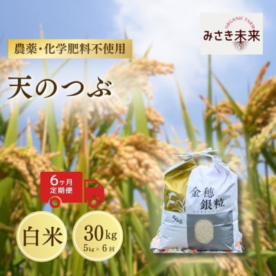 8年産予約 定期便 天のつぶ 白米 5kg×6回 栽培期間中農薬不使用 みさき未来 co024-ae