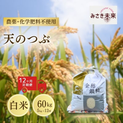 8年産予約 定期便 天のつぶ 白米 5kg×12回 栽培期間中農薬不使用 みさき未来