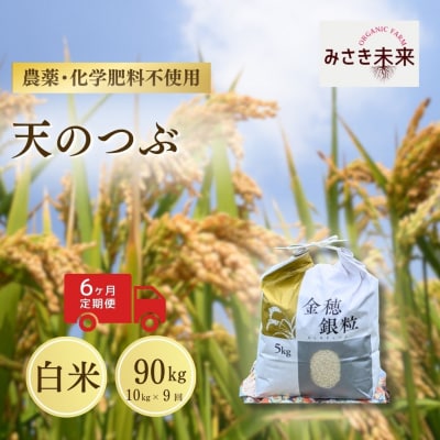8年産予約 定期便 天のつぶ 白米 10kg×9回 栽培期間中農薬不使用 みさき未来