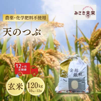 8年産予約 定期便 天のつぶ 玄米 10kg×12回 栽培期間中農薬不使用 みさき未来