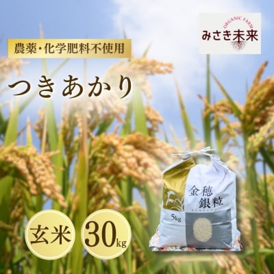 8年産予約 つきあかり 玄米 30kg 栽培期間中農薬不使用 みさき未来 co027-ac