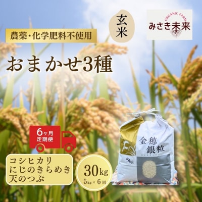 8年産予約 定期便 おまかせ3種 玄米 5kg×6回 栽培期間中農薬不使用 みさき未来