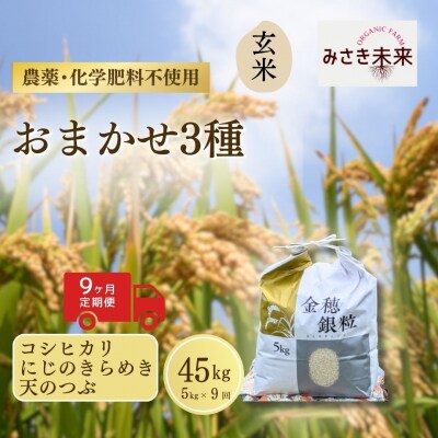 8年産予約 定期便 おまかせ3種 玄米 5kg×9回 栽培期間中農薬不使用 みさき未来