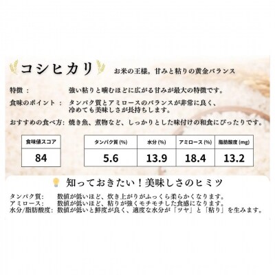 【先行予約】JAS有機米 コシヒカリ 白米 10kg 令和8年産 渡部有機農園 cn001-ah