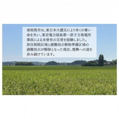 JAS有機米 にじのきらめき 玄米 5kg 令和8年産 渡部有機農園 cn004-ac