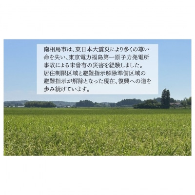 JAS有機米 にじのきらめき 白米 10kg 令和8年産 渡部有機農園 cn004-ab