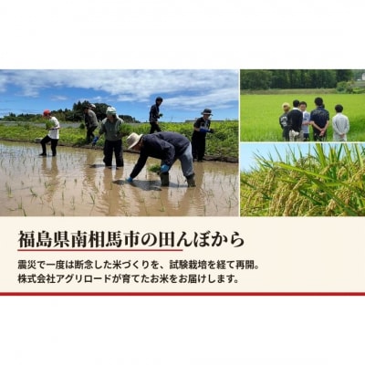 令和8年産 にじのきらめき 白米 5kg 精米 アグリロード ck006-aa