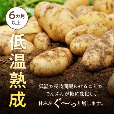 【先行受付　2026年2月より順次発送】北海道十勝芽室町 越冬メークイン5kg me001-001c