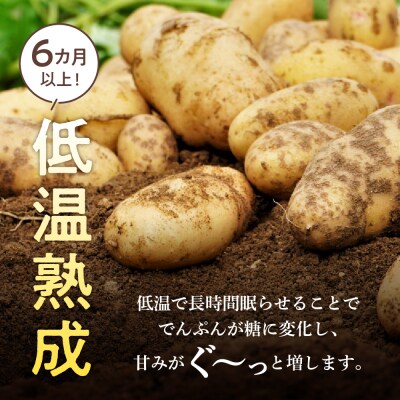 【先行受付　2026年2月より順次発送】北海道十勝芽室町 越冬メークイン5kg me001-001c