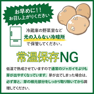 【先行受付　2025年2月より順次発送】北海道十勝芽室町 越冬メークイン5kg me001-001c