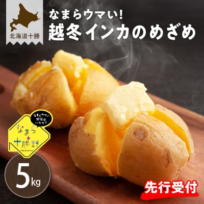 【先行受付　2026年2月より順次発送】芽室町  雪室熟成インカのめざめ5kg　me001-005c