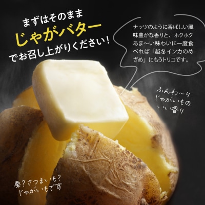 【先行受付　2026年2月より順次発送】芽室町  雪室熟成インカのめざめ5kg　me001-005c