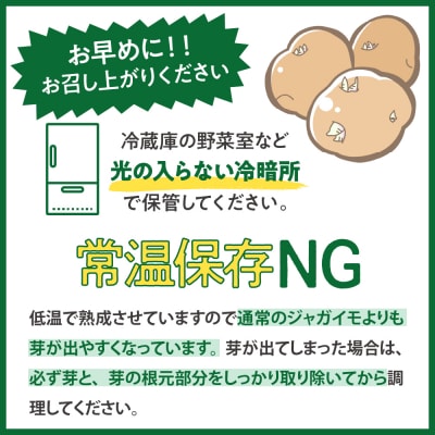 【先行予約】【2027年2月より順次発送】北海道十勝芽室町 なまら十勝野の越冬メークイン10kg