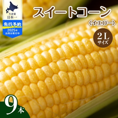 【7月下旬～9月頭頃発送】北海道十勝芽室町 とうもろこし 2L 9本入り me002-021c-25