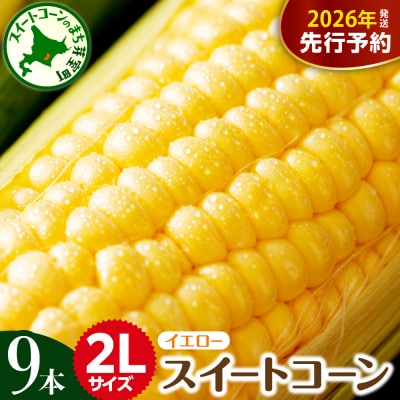 【先行受付】北海道十勝芽室町 とうもろこし 2L 9本入り me002-021c-26