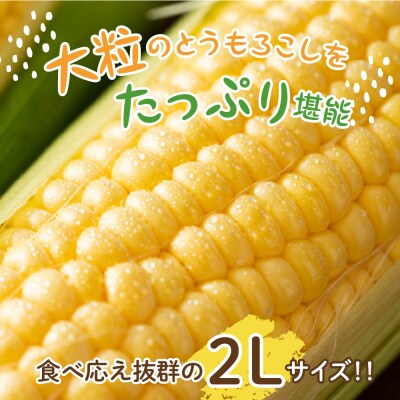【2025年先行受付】北海道十勝芽室町 とうもろこし 2L 9本入り me002-021c-25