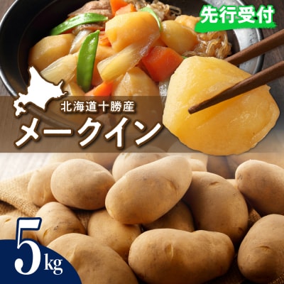 【9月下旬より配送】北海道十勝芽室町 メークイン5kg me002-002-24c