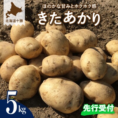 【9月下旬より配送】北海道十勝芽室町 きたあかり5kg me002-003-24c