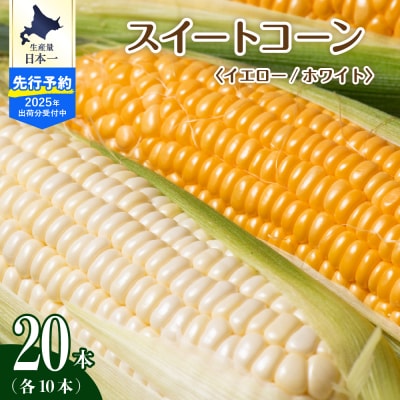 【7月下旬～9月頭頃発送予定】北海道芽室町とうもろこし イエロー種10本 ホワイト種10本